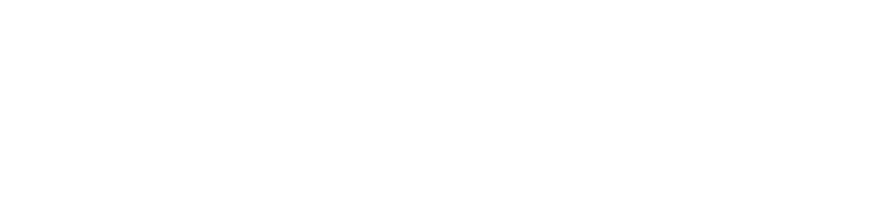 Visanovle_Logo_Weiss